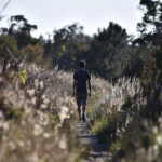 Jalan Santai sebagai Ritual Jiwa: Cara Membuat Setiap Langkah Terasa Seperti Kebebasan Kecil