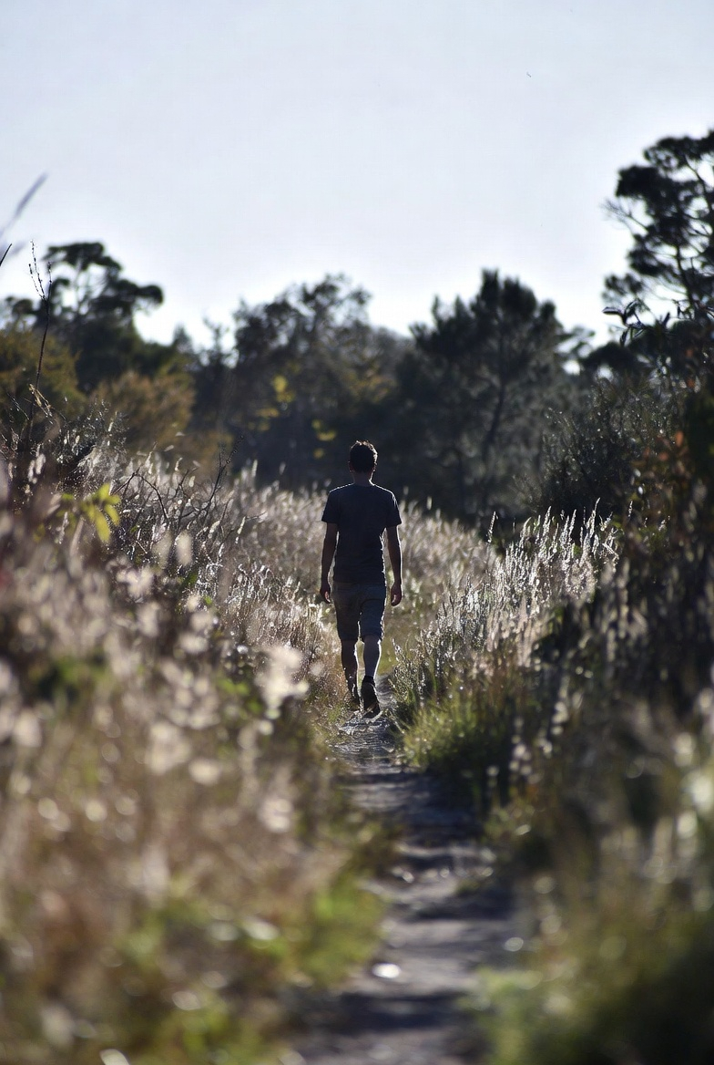 Jalan Santai sebagai Ritual Jiwa: Cara Membuat Setiap Langkah Terasa Seperti Kebebasan Kecil