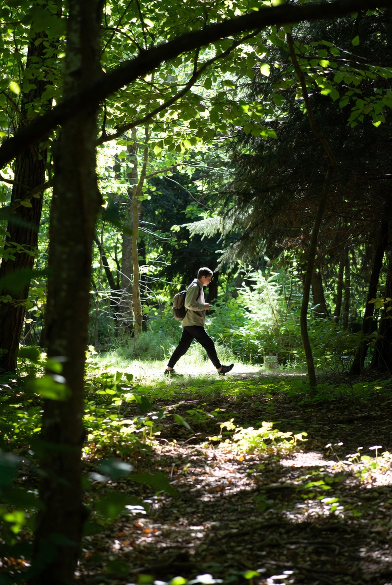 Jalan Kaki yang Menjadi Petualangan Hati: Cara Menikmati Setiap Langkah dengan Lebih Dalam dan Menyenangkan