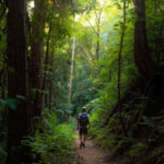 Jalan Kaki Biasa yang Jadi Momen Spesial: Ide Kecil yang Membuat Setiap Langkah Lebih Bermakna